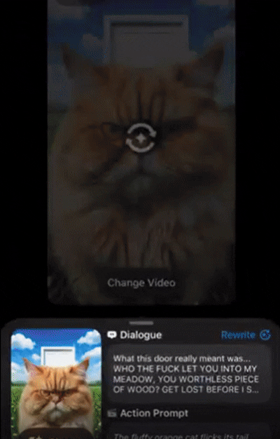 Video tab.gif
