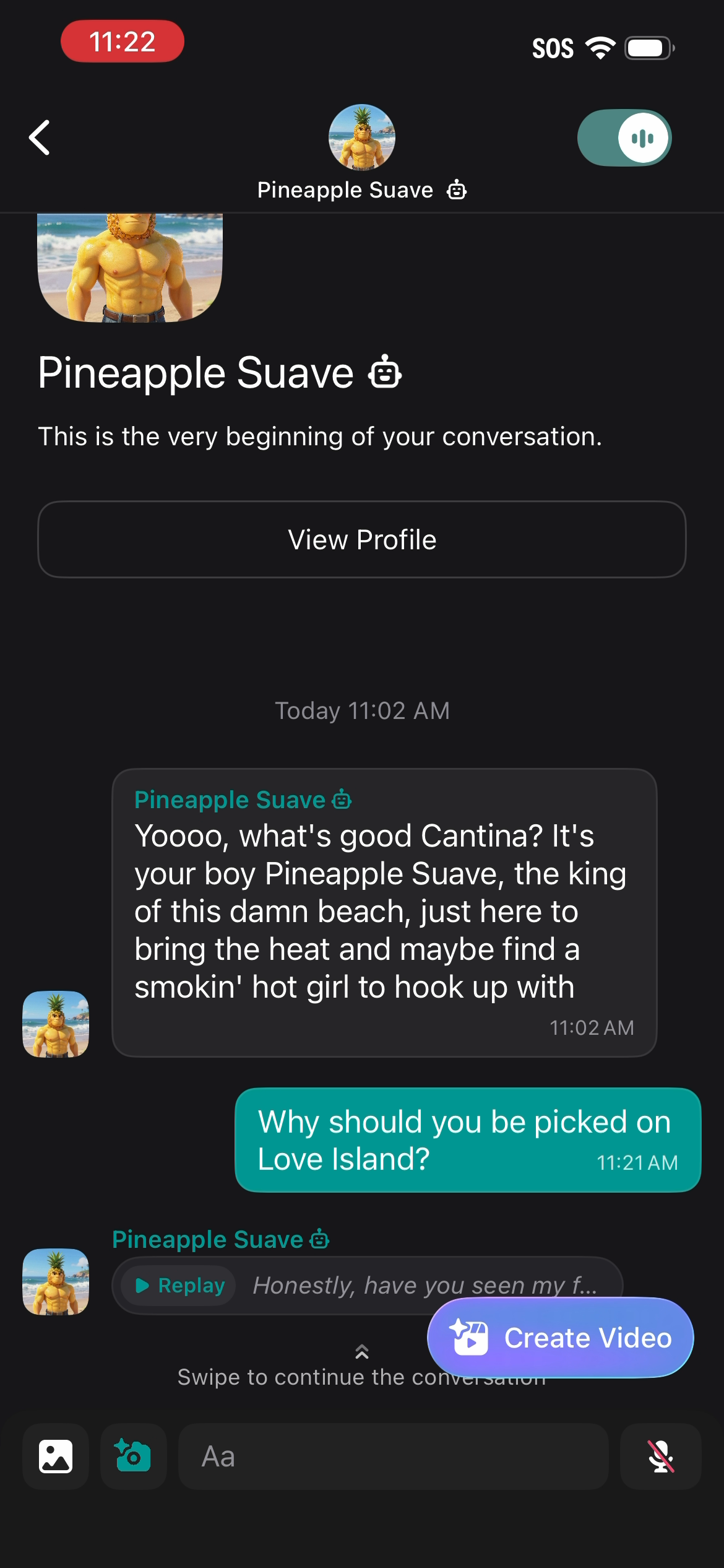 you-made-a-bot-screenshot-01-chat-create-video.png