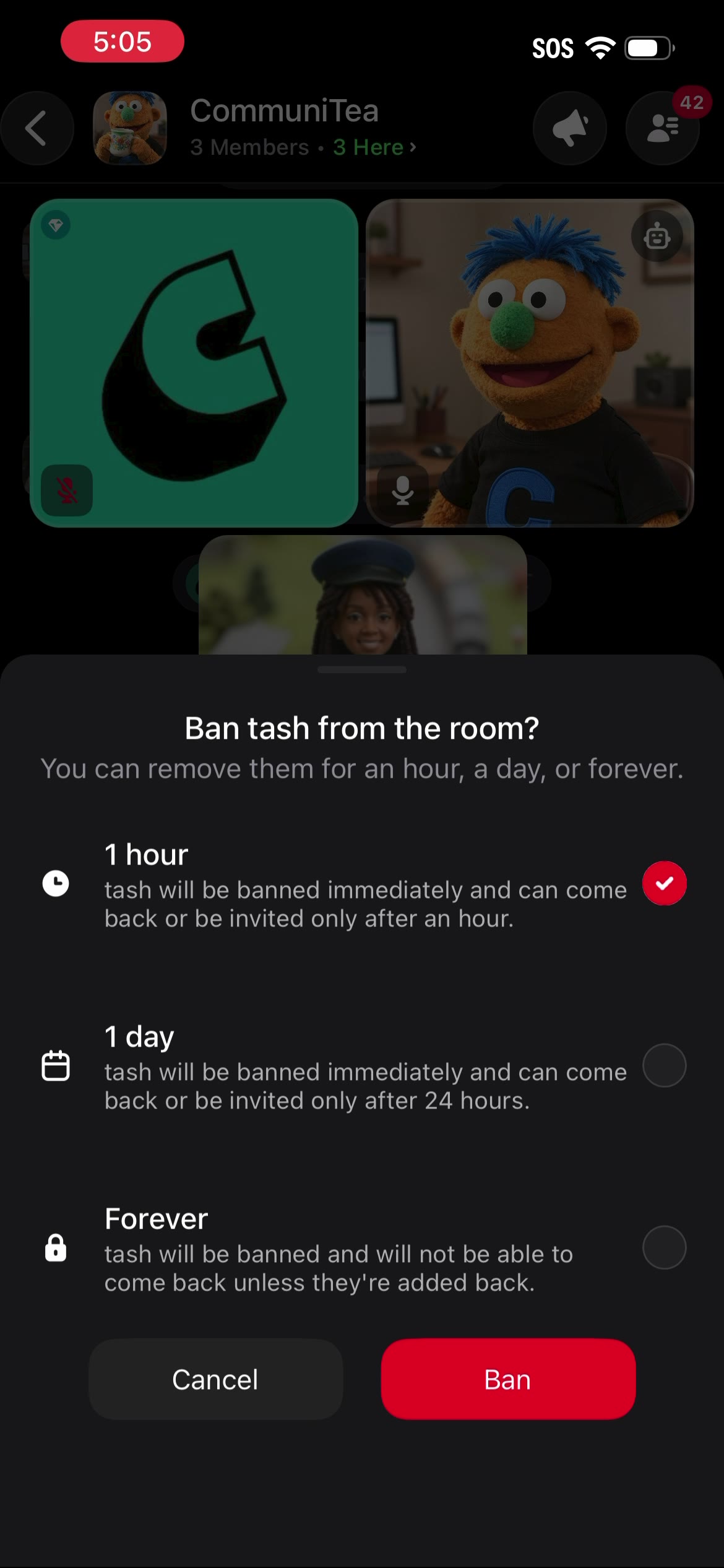 ban-frame-05.jpg