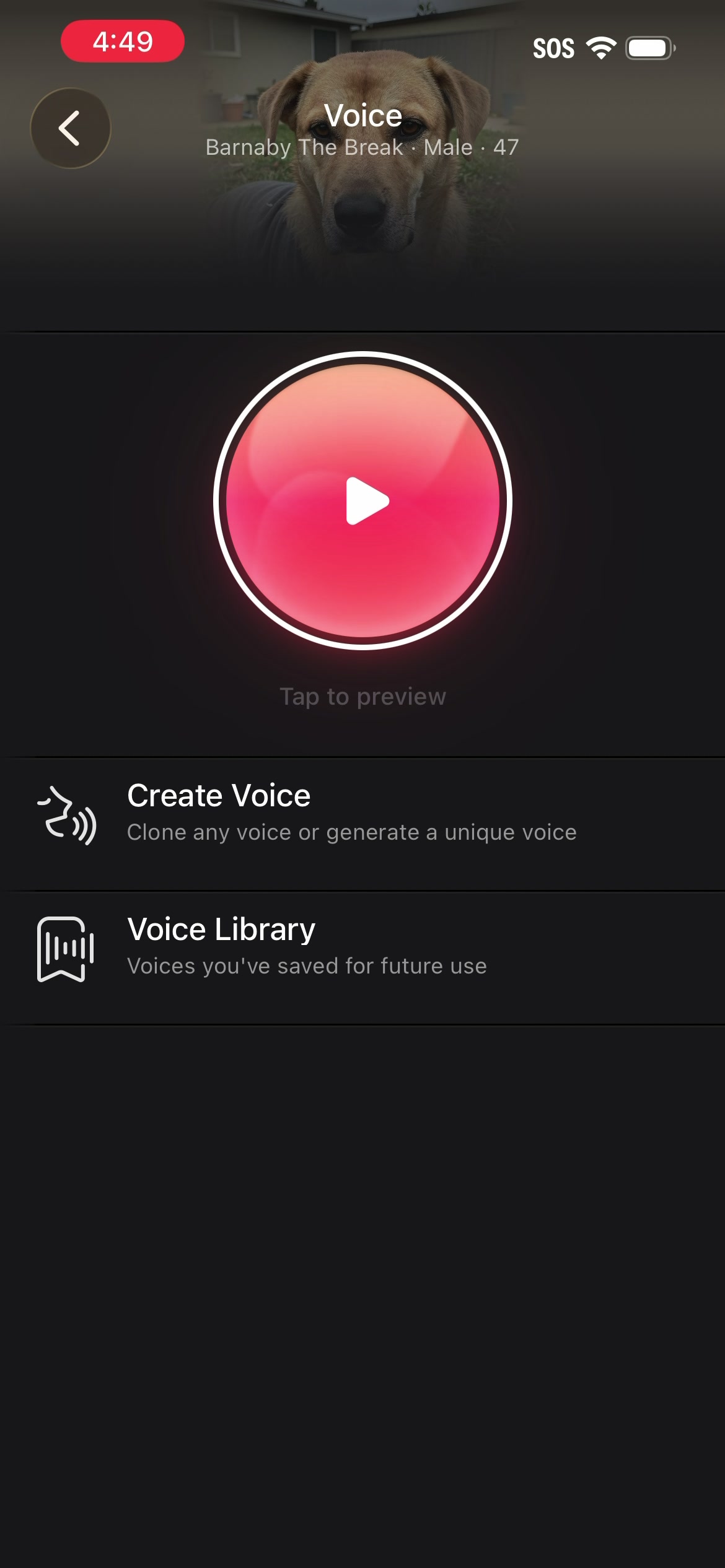 05-voice-library.jpg